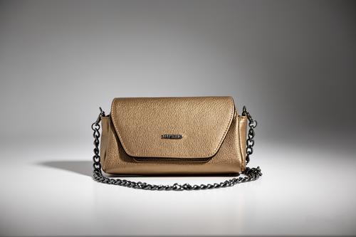 Bolso Trofeo